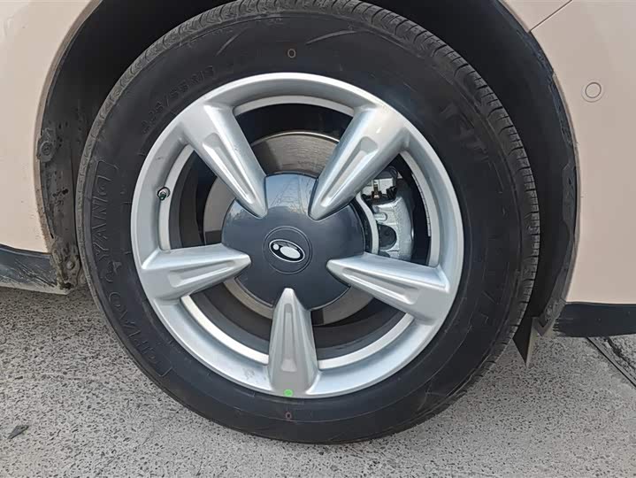 Фото 6 - Ora Good Cat (03)