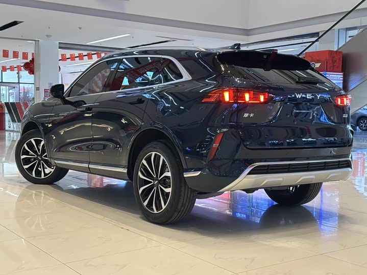 Фото 6 - Wey Mocha