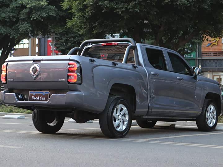 Фото 7 - Great Wall King Kong Poer