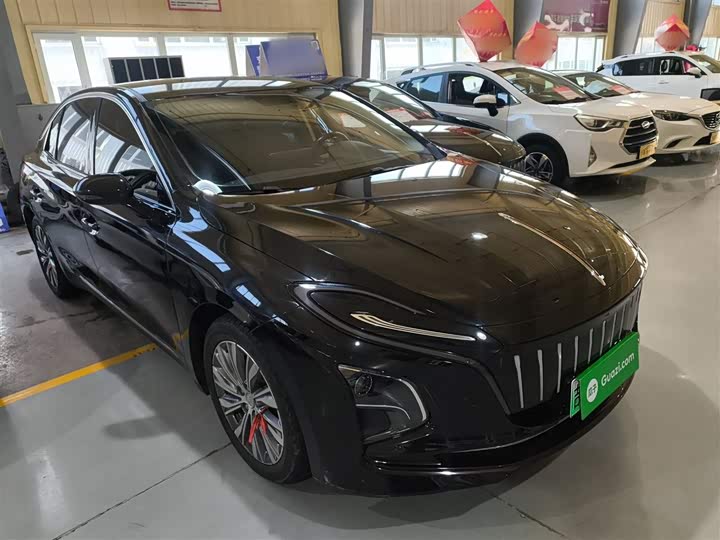 Фото 4 - Hongqi E-QM5