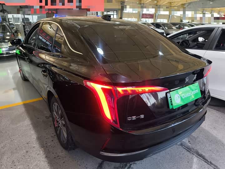 Фото 5 - Hongqi E-QM5