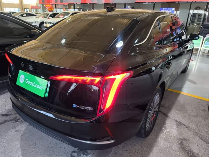 Фото 7 - Hongqi E-QM5