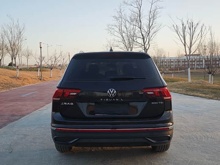 Фото 8 - Volkswagen Tiguan L Pro