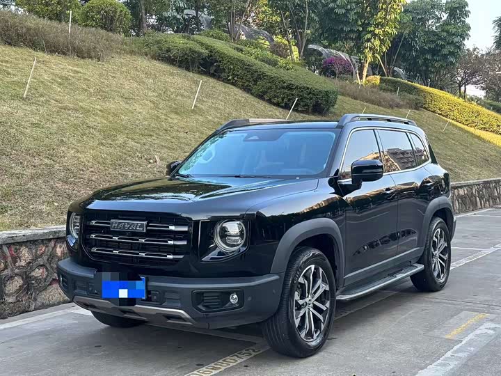 Фото 1 - Haval Dargo