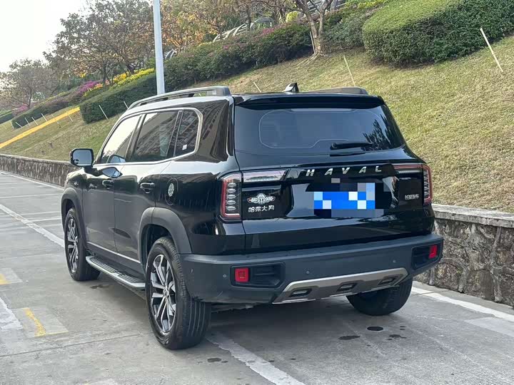 Фото 3 - Haval Dargo
