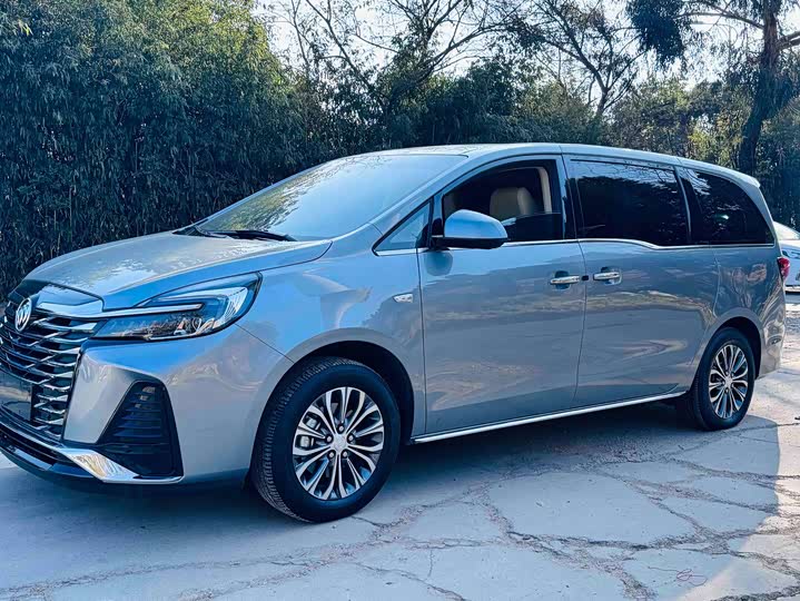 Фото 1 - Buick GL8 ES