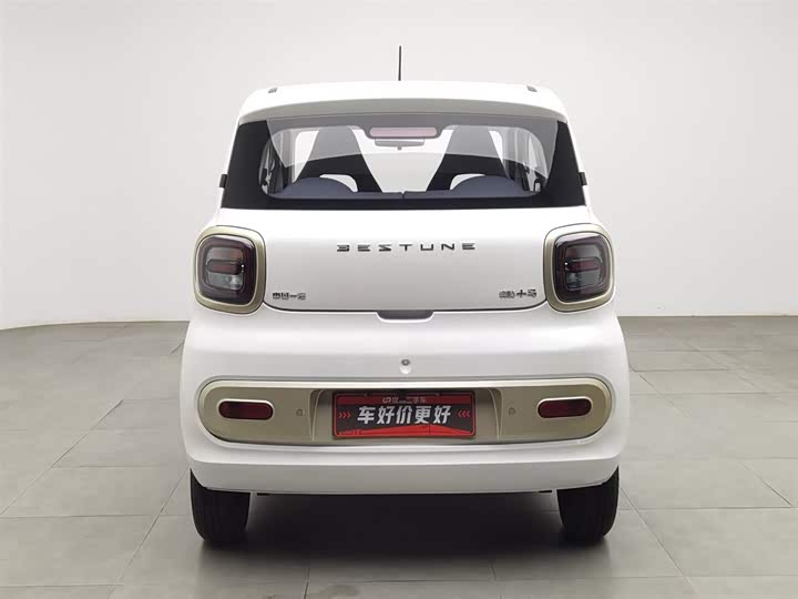 Фото 4 - Bestune Pony