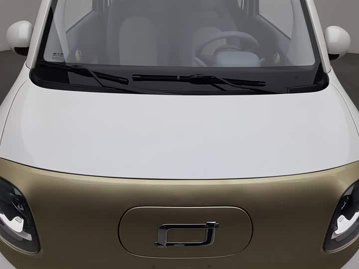 Фото 6 - Bestune Pony