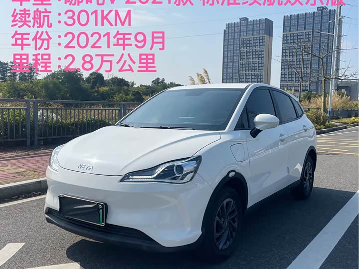 Фото 2 - Hozon V