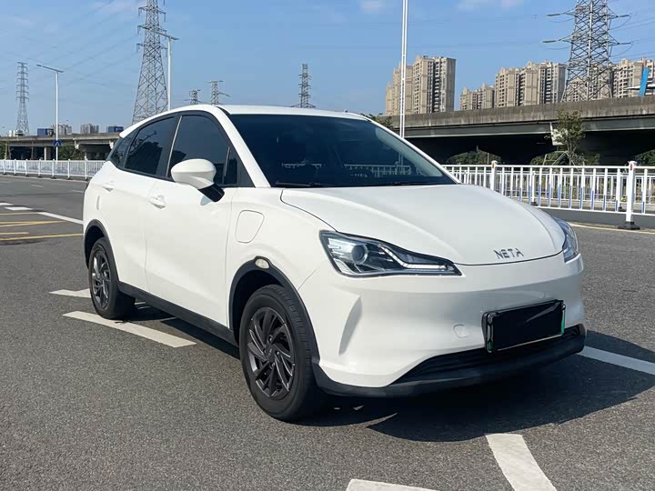 Фото 4 - Hozon V