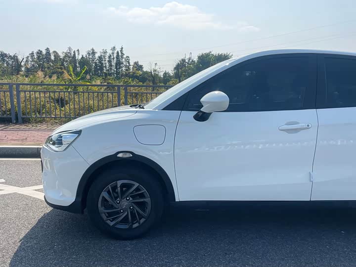 Фото 5 - Hozon V