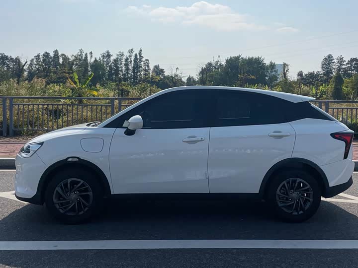 Фото 6 - Hozon V