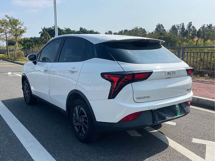 Фото 7 - Hozon V