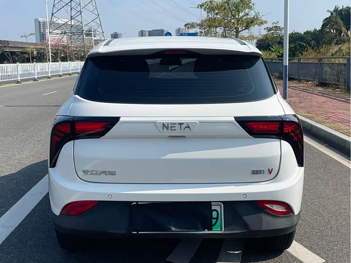 Фото 8 - Hozon V