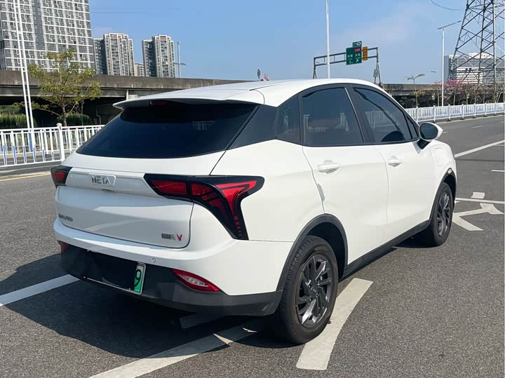 Фото 9 - Hozon V