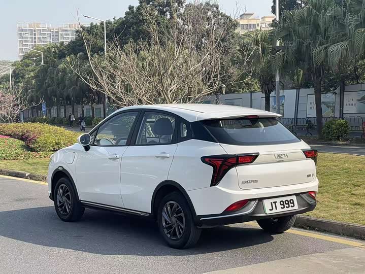 Фото 4 - Hozon V