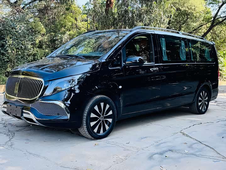 Фото 1 - Mercedes-Benz Vito