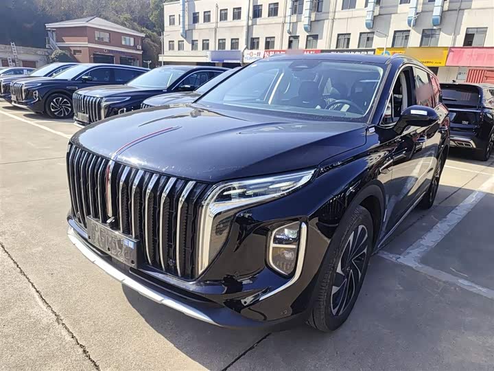 Фото 2 - Hongqi HS7 Hybrid