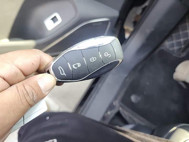 Фото 9 - Hongqi HS7 Hybrid