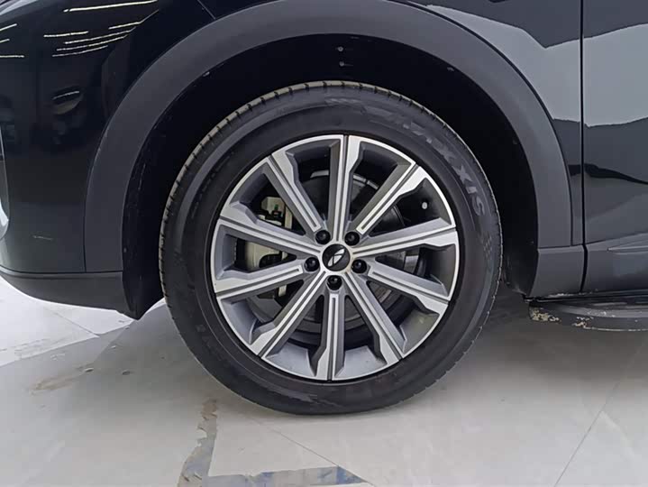 Фото 6 - Chery Fulwin T9