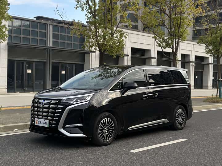 Фото 1 - Denza D9