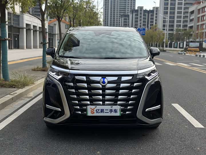 Фото 2 - Denza D9