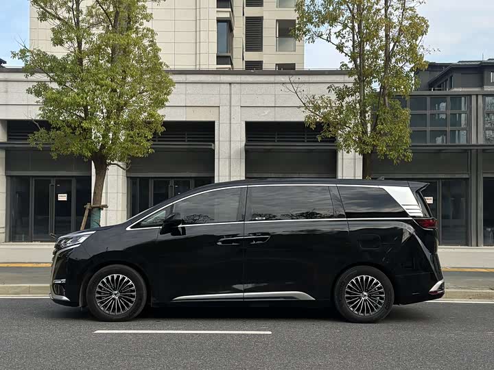 Фото 3 - Denza D9