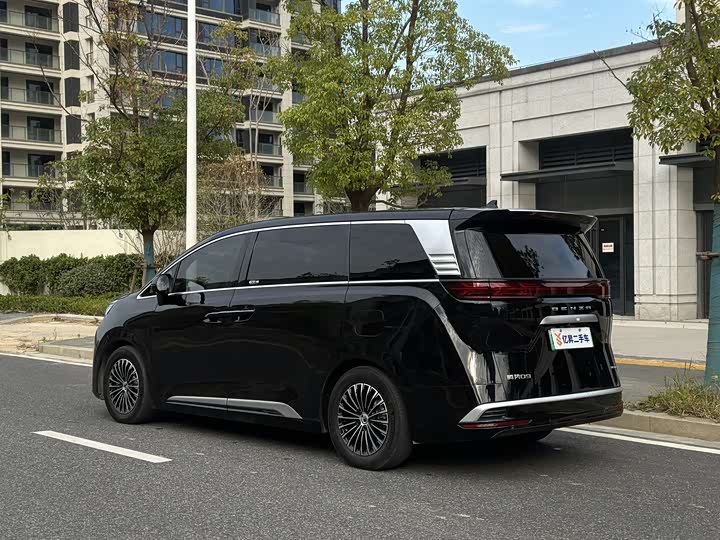 Фото 5 - Denza D9