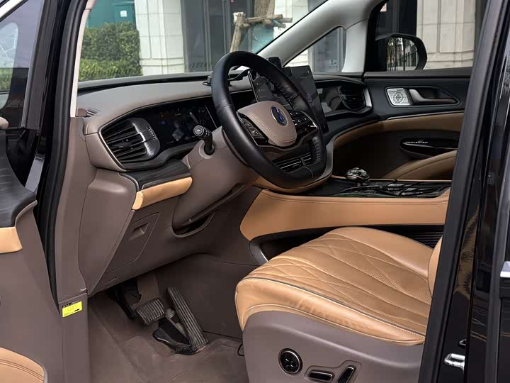 Фото 6 - Denza D9