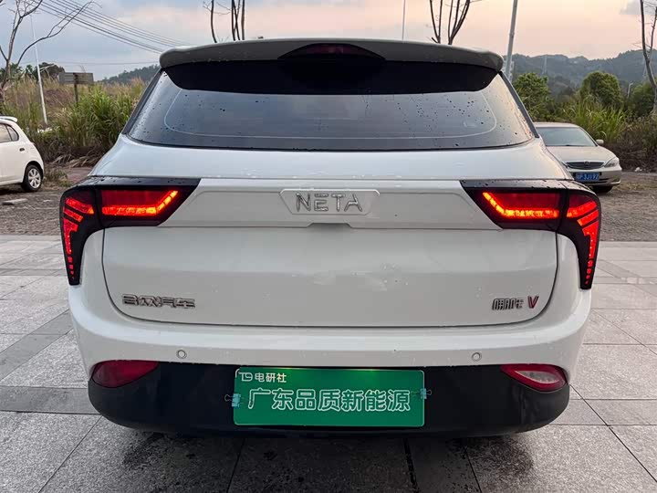 Фото 4 - Hozon V