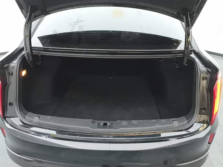 Фото 4 - Hongqi E-QM5