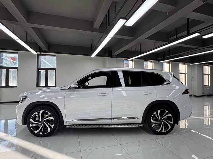 Фото 4 - Geely Monjaro