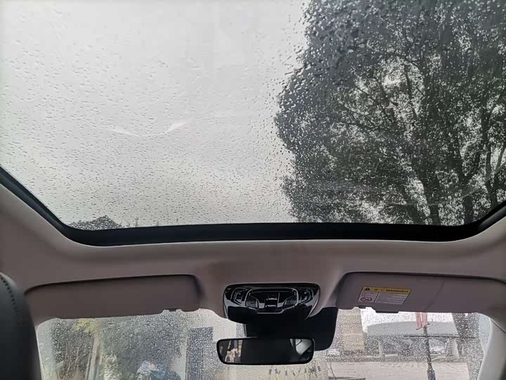 Фото 6 - Roewe RX5