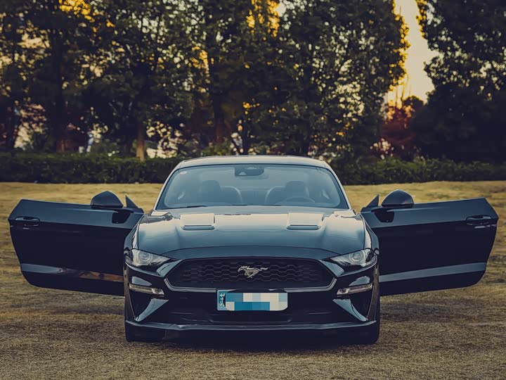 Фото 2 - Ford Mustang