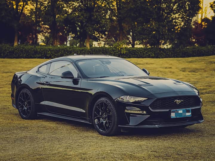 Фото 3 - Ford Mustang