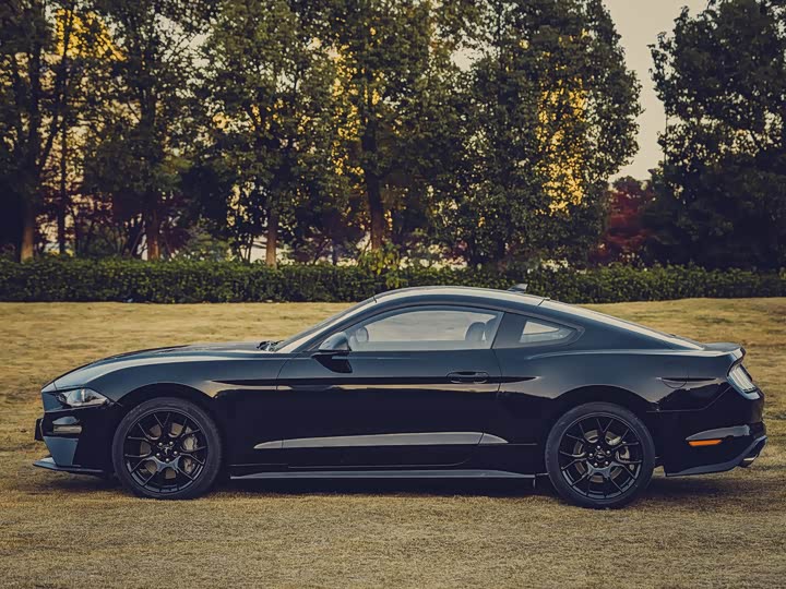 Фото 4 - Ford Mustang
