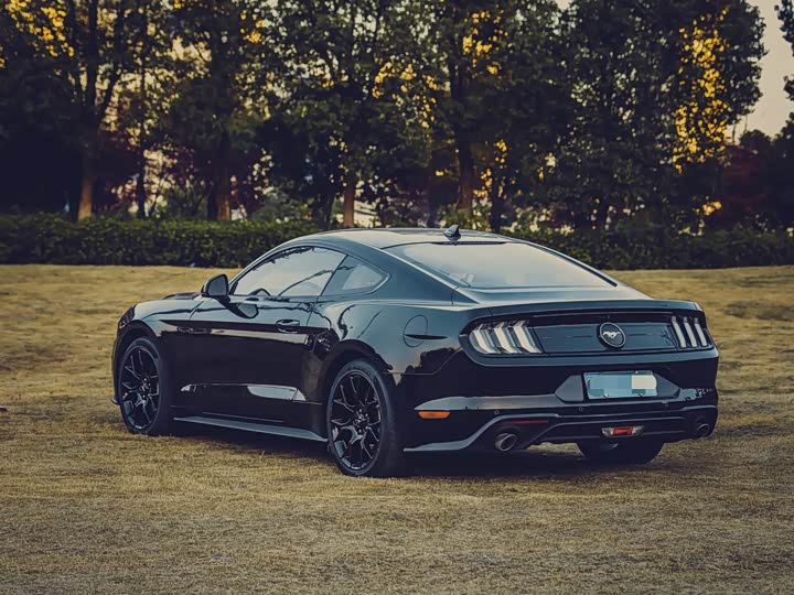 Фото 5 - Ford Mustang