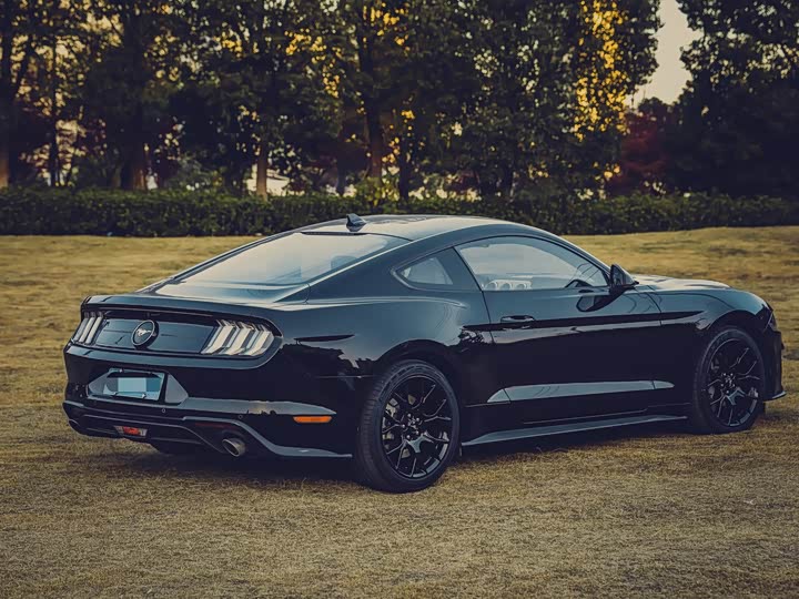 Фото 6 - Ford Mustang