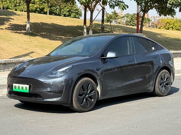 Фото 1 - Tesla Model Y