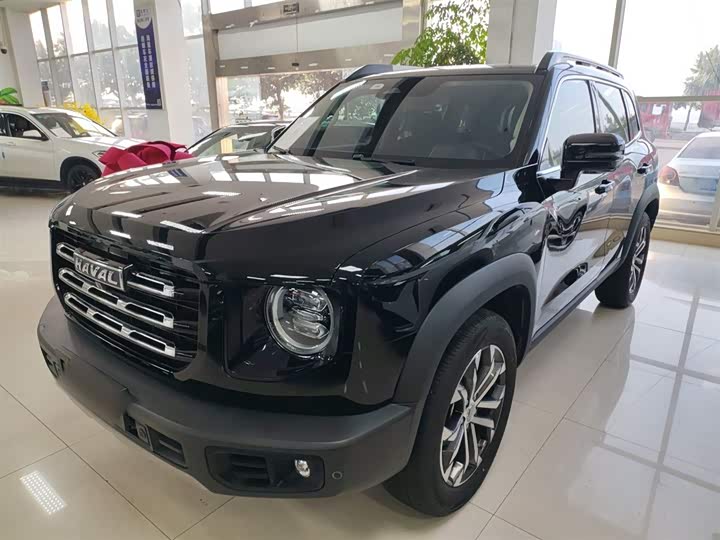 Фото 2 - Haval Dargo