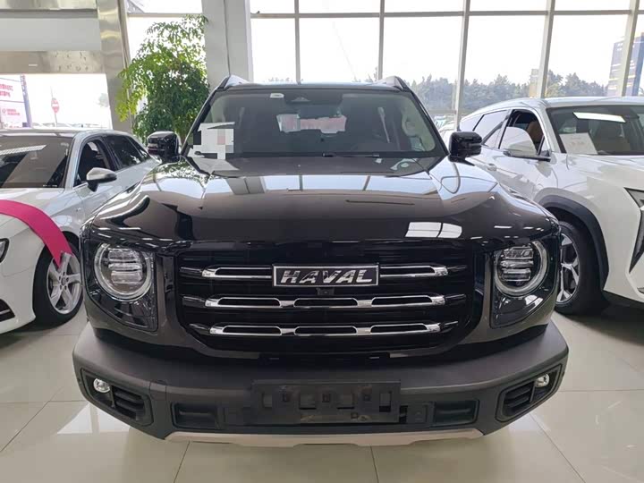 Фото 3 - Haval Dargo