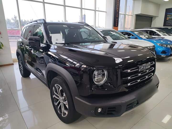 Фото 4 - Haval Dargo