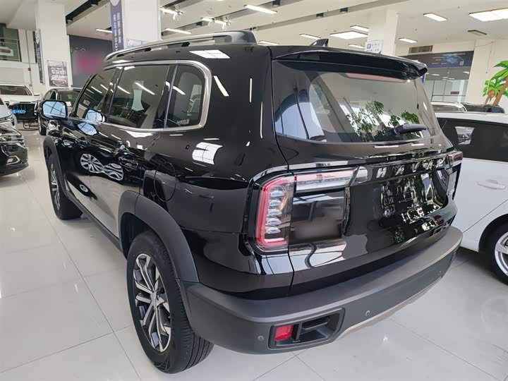 Фото 5 - Haval Dargo