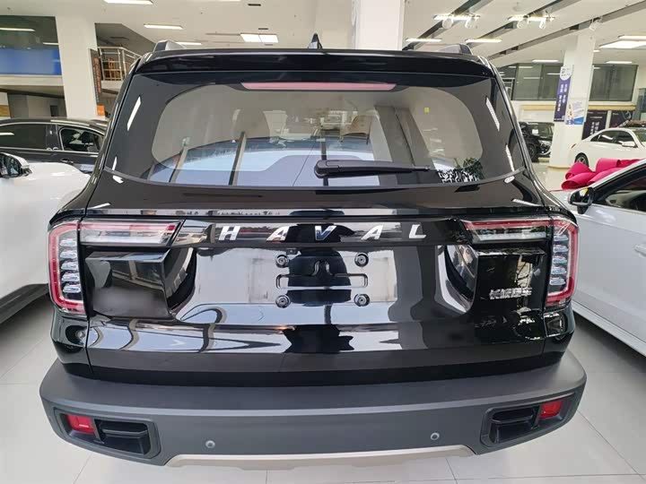 Фото 6 - Haval Dargo