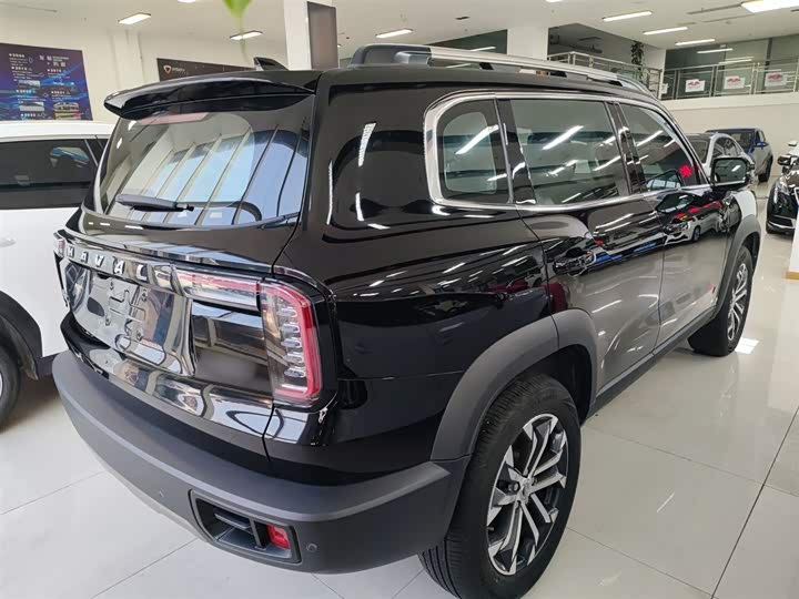 Фото 7 - Haval Dargo