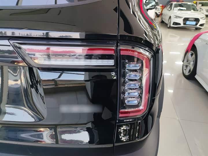 Фото 8 - Haval Dargo