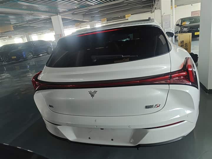 Фото 6 - Hozon S Hunting