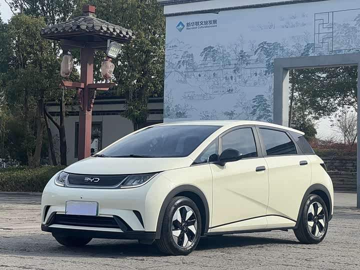 Фото 1 - BYD Dolphin