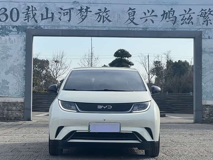 Фото 2 - BYD Dolphin