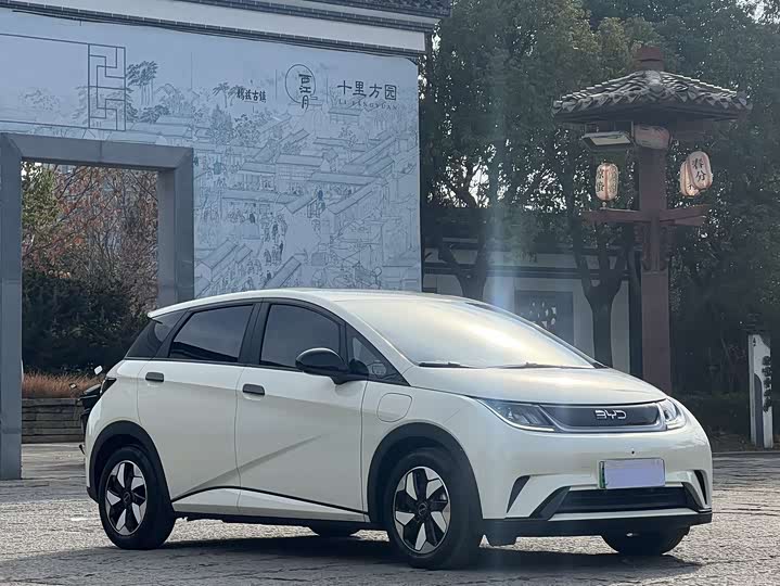 Фото 3 - BYD Dolphin